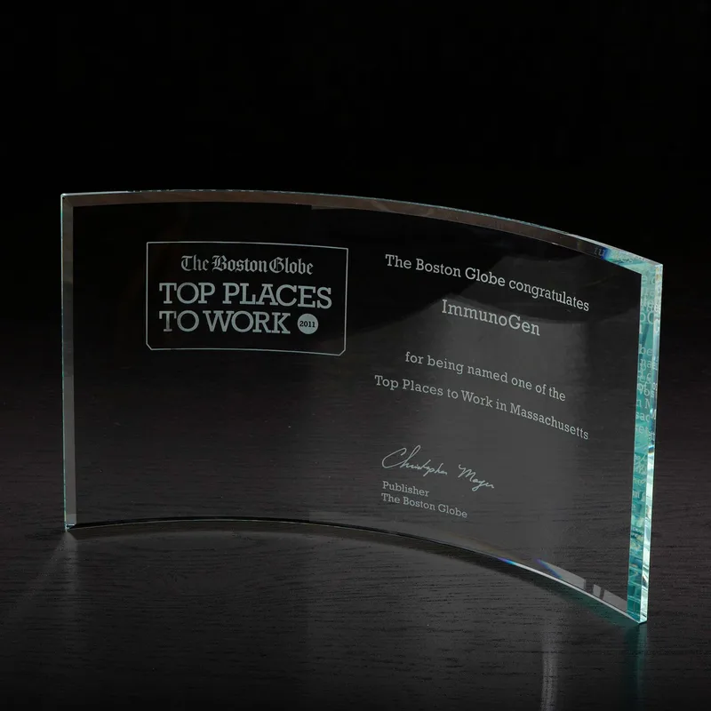 Times Large Glass Award view 2
