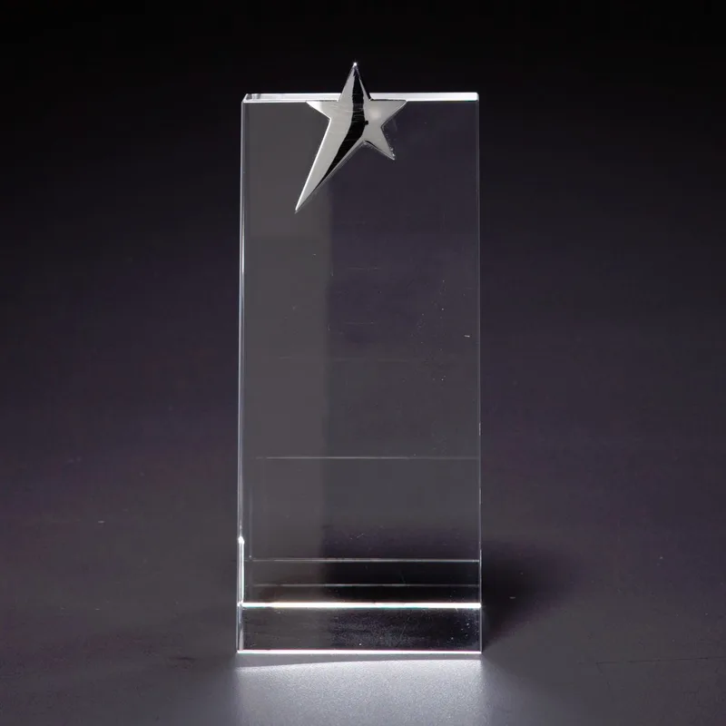 Skyward Star Medium Optically Perfect Award view 2