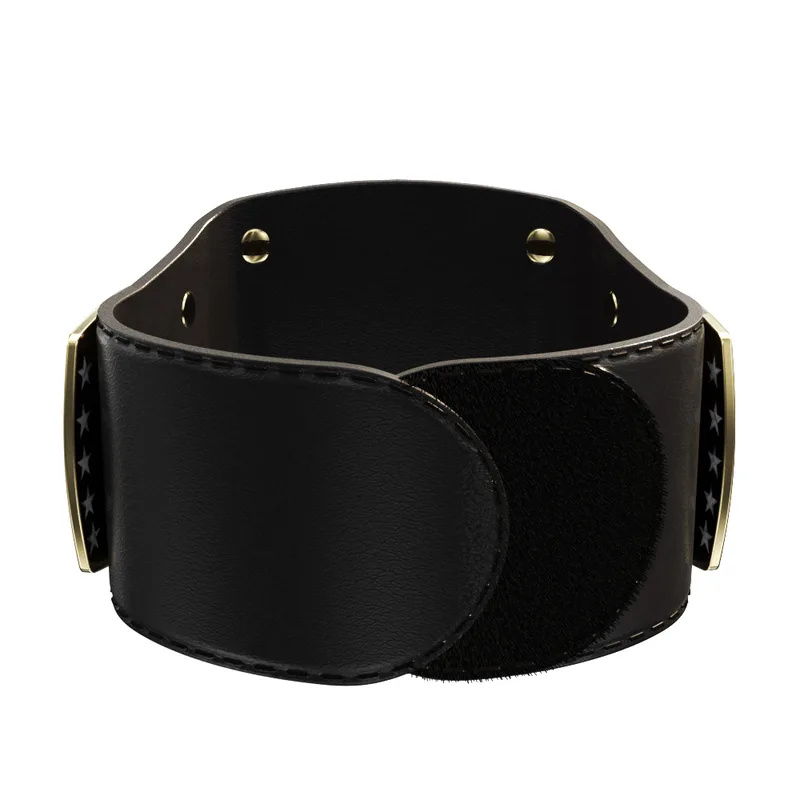Vibraprint® Lil' Legacy Championship Belt in Black view 5