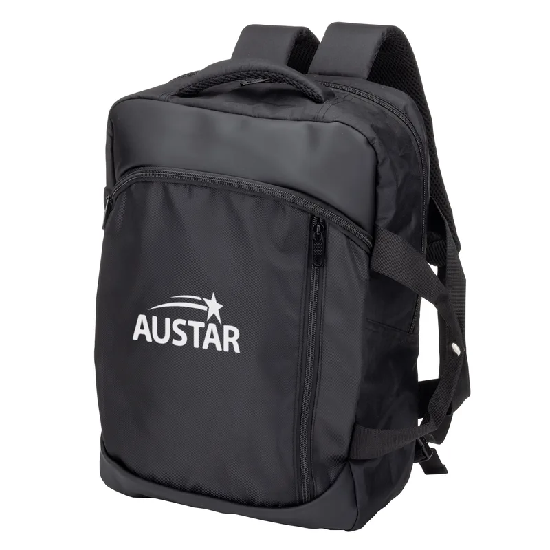 Frydek Backpack w/Detachable Adjustable Shoulder Straps