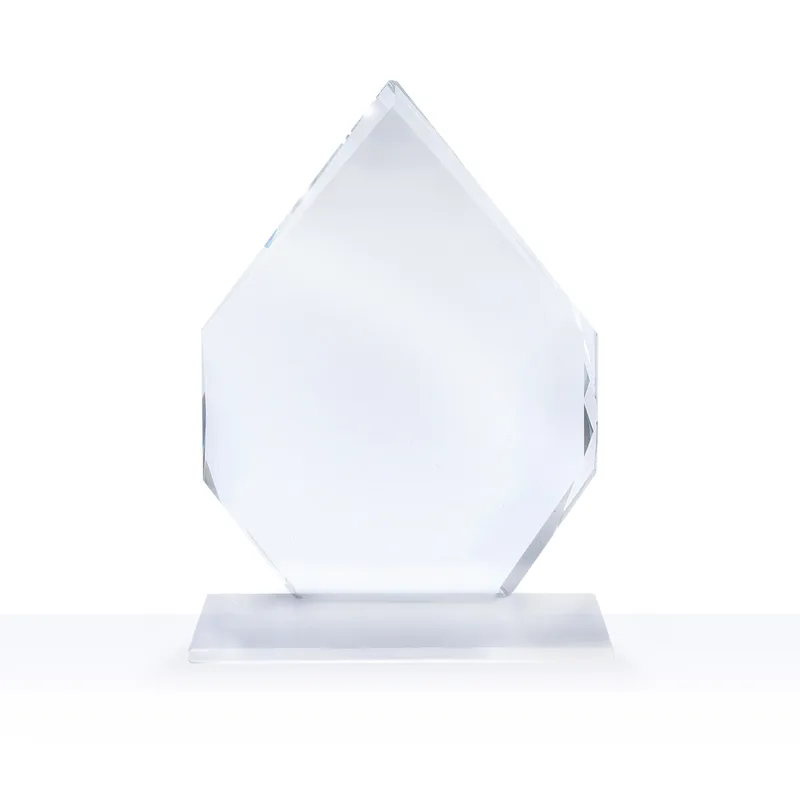 7" Arrowhead Award view 2