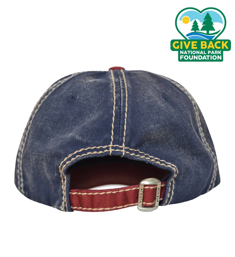 ACE Triple-Tone Colorblocked Cap view 2