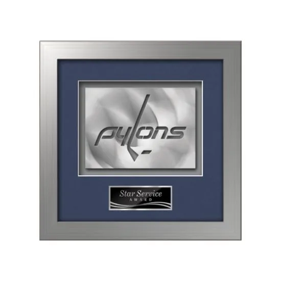 Eldridge Aquashape™ Award - Silver