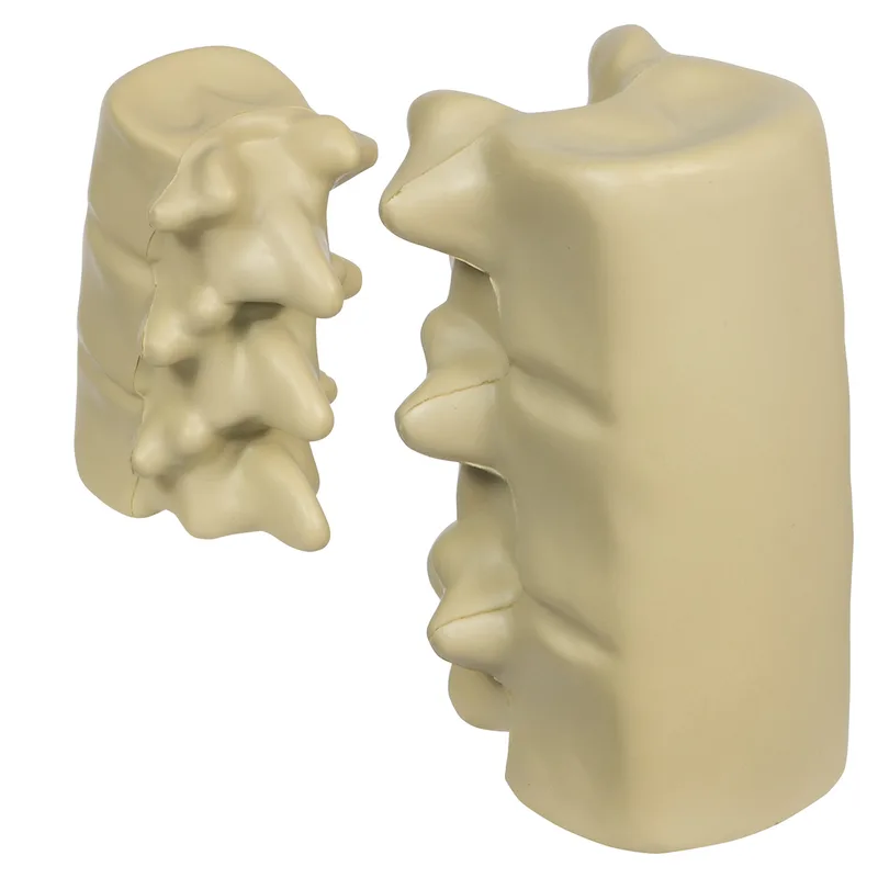 Spinal Segment Stress Reliever view 2