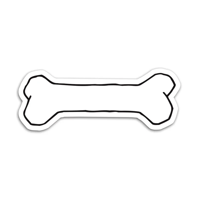 Bone view 2