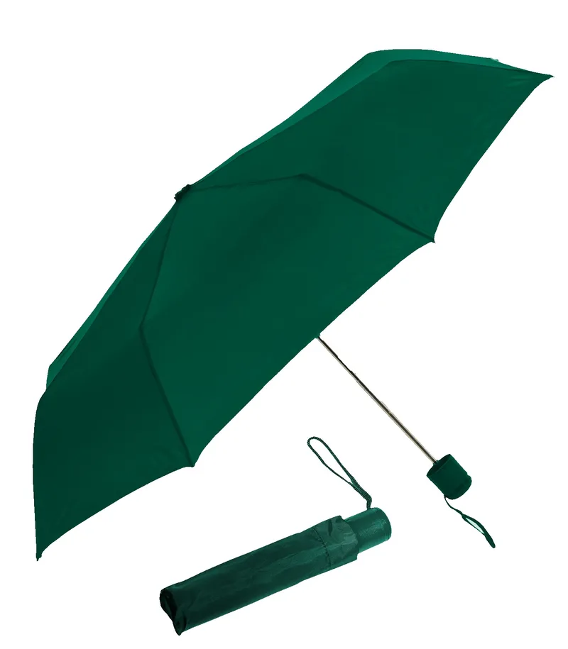 The One Umbrella view 2