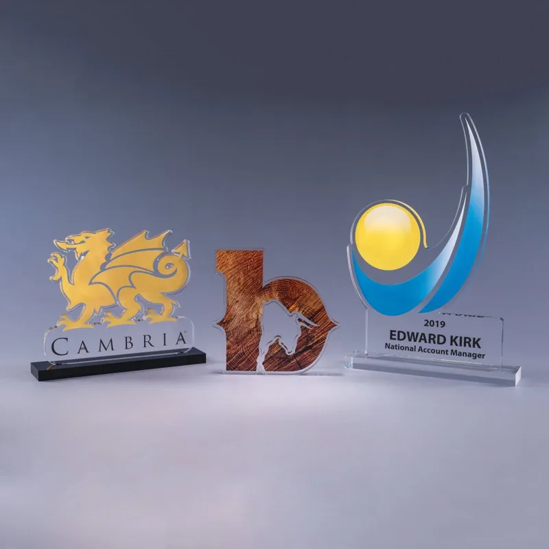 3/8" Custom Cut Acrylic Award (Up to 64 Square Inch)