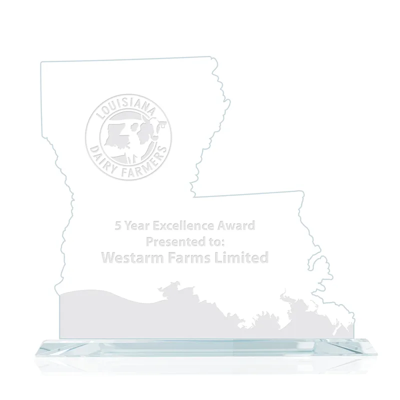 State Map Award -  Louisiana