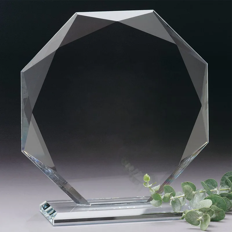 Omni Award 7-1/2" view 2