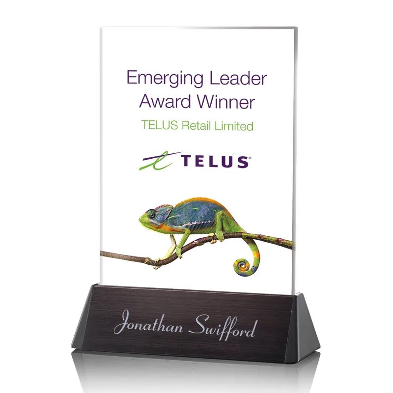 8" H x 10" W x 0" D
