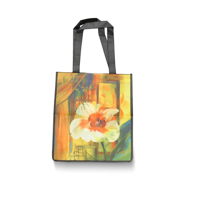 Magic Bag (13"x15"x10") view 2