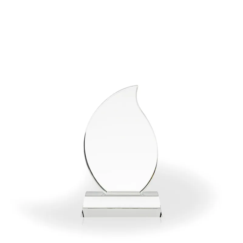 Lucia Crystal Flame Award view 2