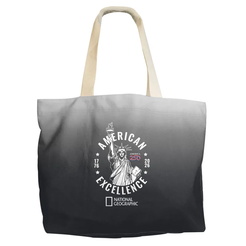ACE Ombre Tote view 2