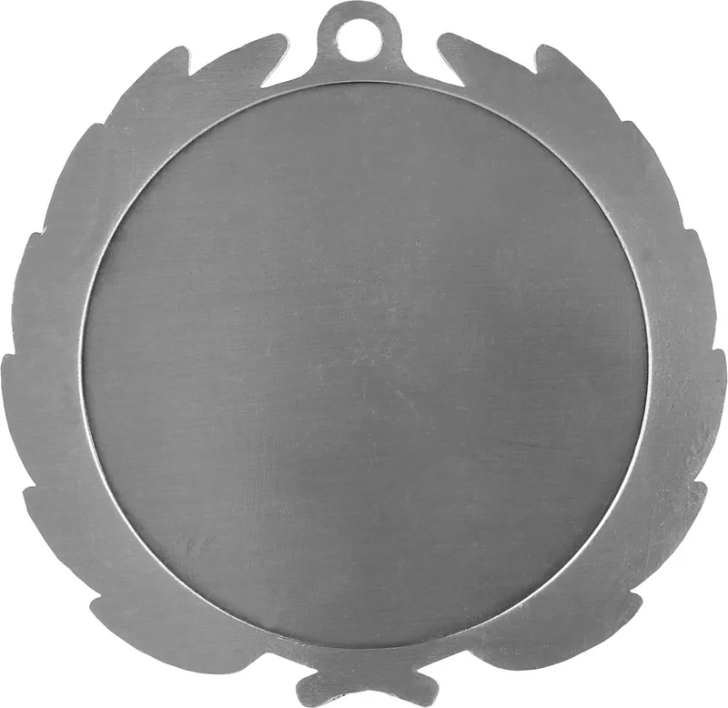 Silver Blank Back View