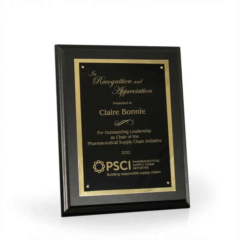 Corvus Award Plaque view 4