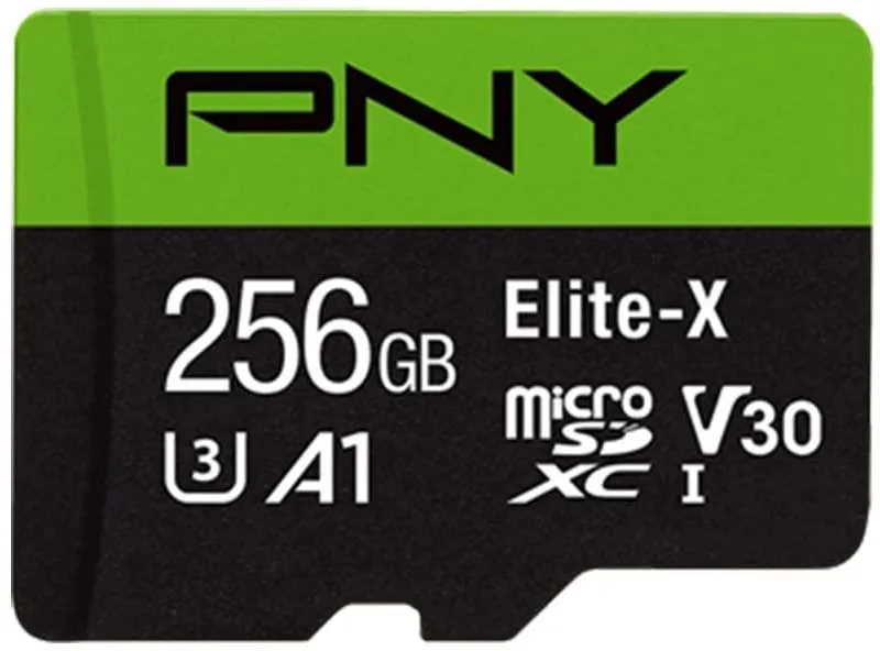 GoPro Pny 256Gb Elite-X Class 10 U3 V30 Microsdxc Flash Memory Card