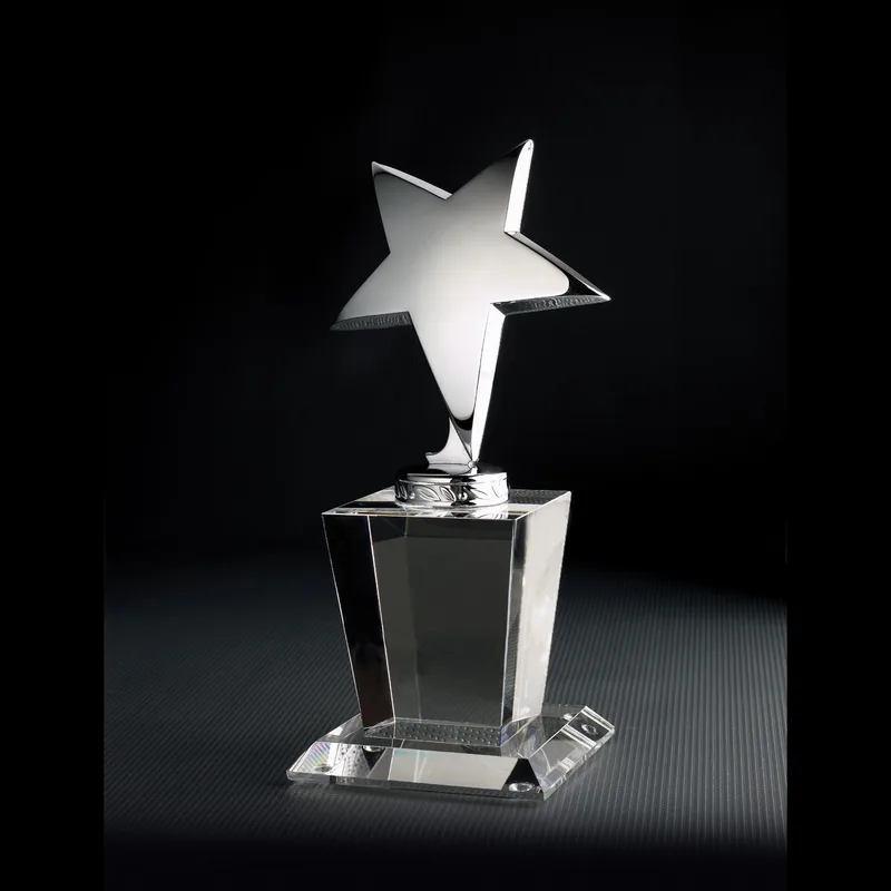 North Star Optically Perfect Award view 2