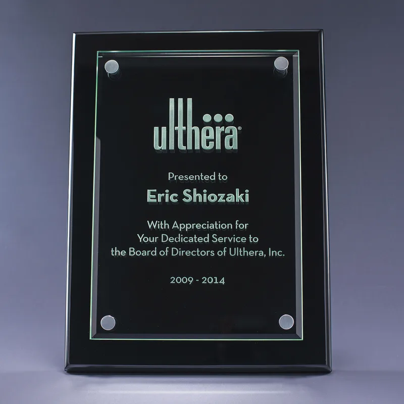3130-31 Versa Plaques-black