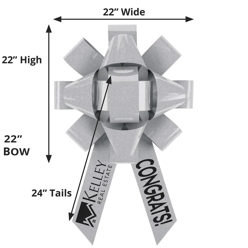 Silver Logo Dimensions View