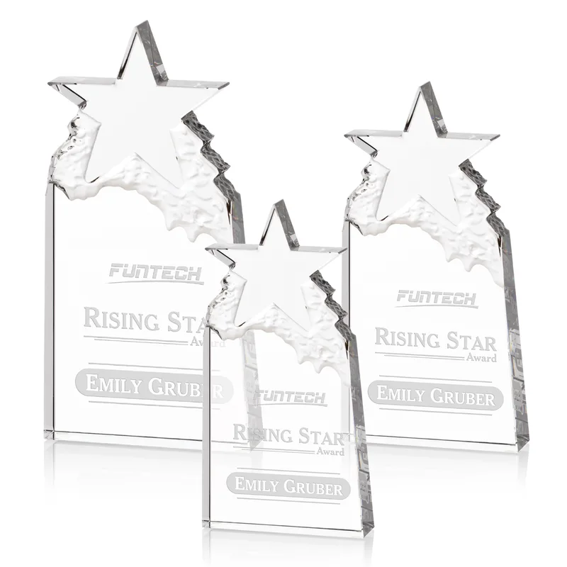 Augustine Award