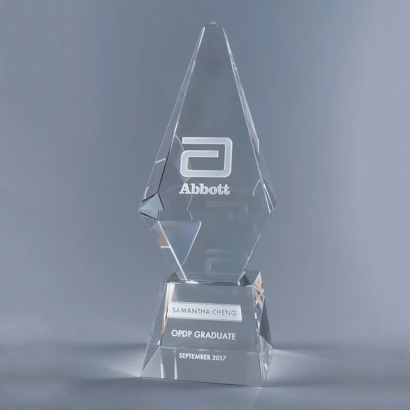 10" Homage Crystal Award view 2