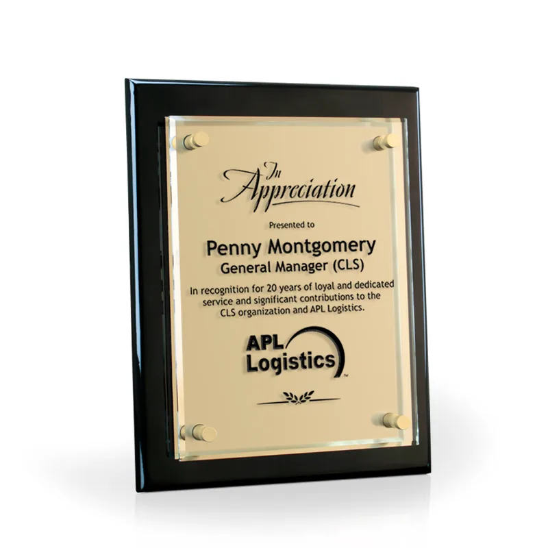 Tesla III Gold Plaques with Plate, 9"x12"