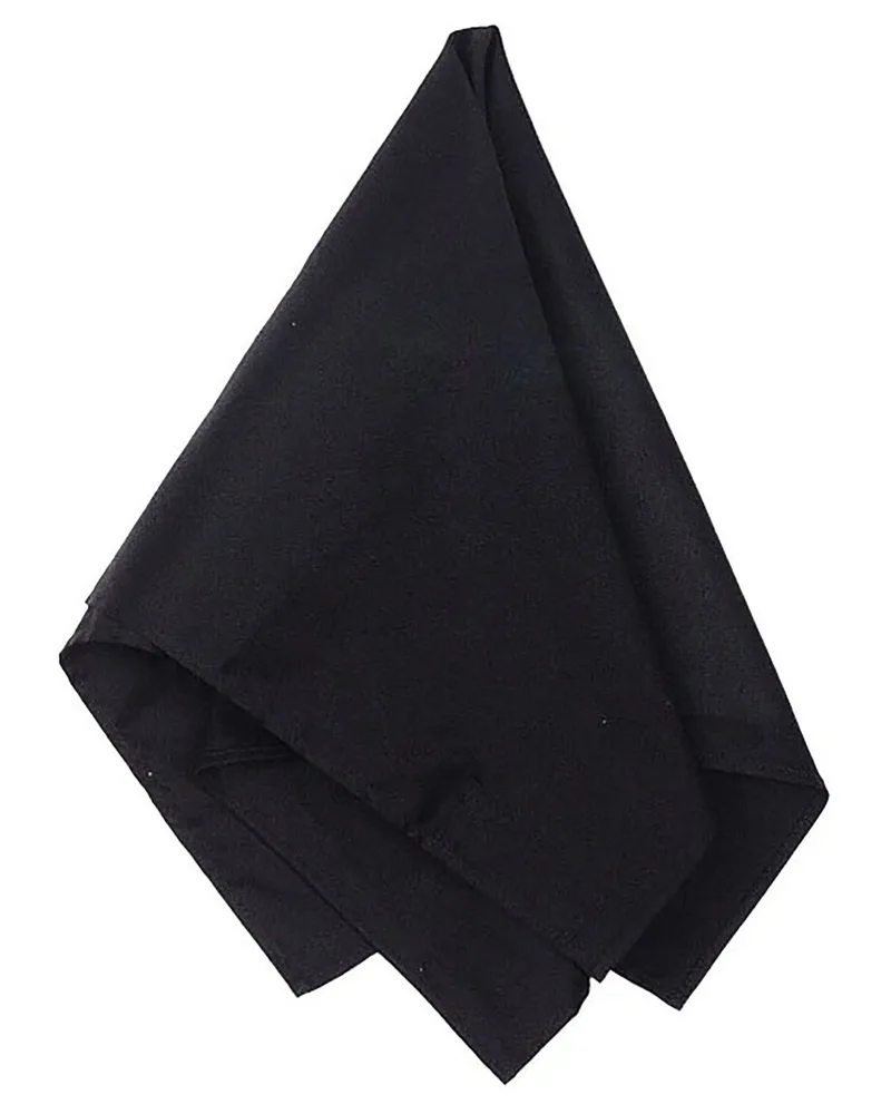 Big Accessories Solid Bandana